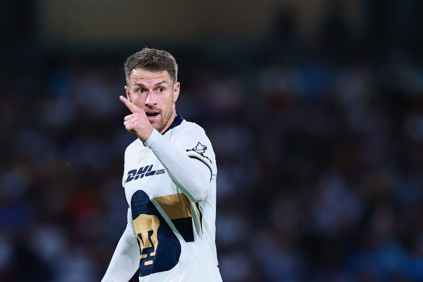 Aaron Ramsey ofrece recompensa de ,000 por su perro Halo perdido en México