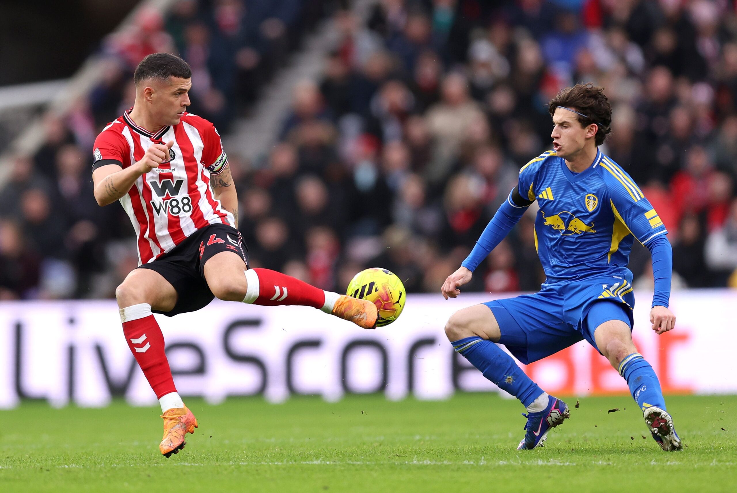 Brenden Aaronson da una asistencia clave en el empate de Leeds vs Sunderland