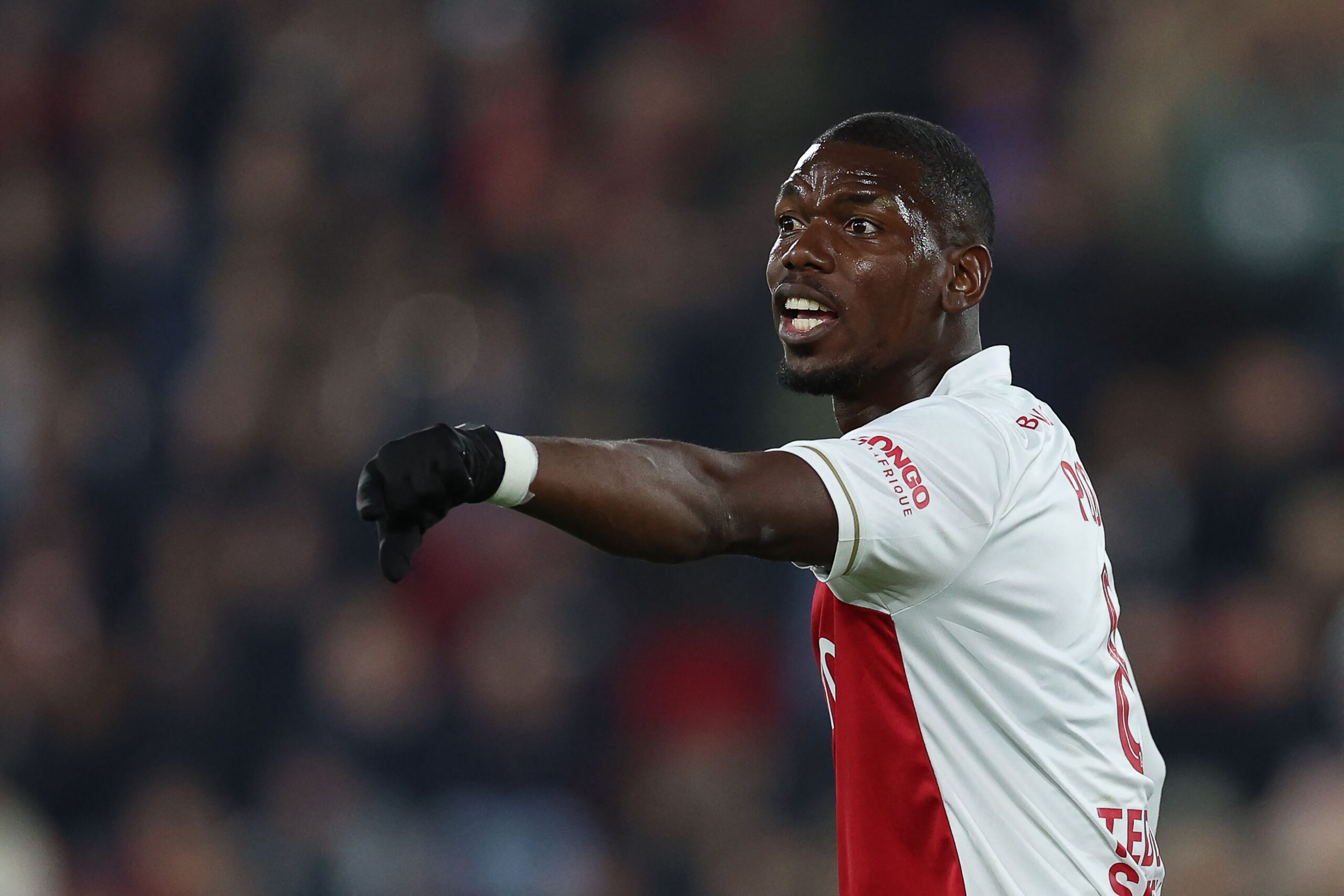 Paul Pogba desea el camello más caro del mundo tras invertir en equipo de carreras