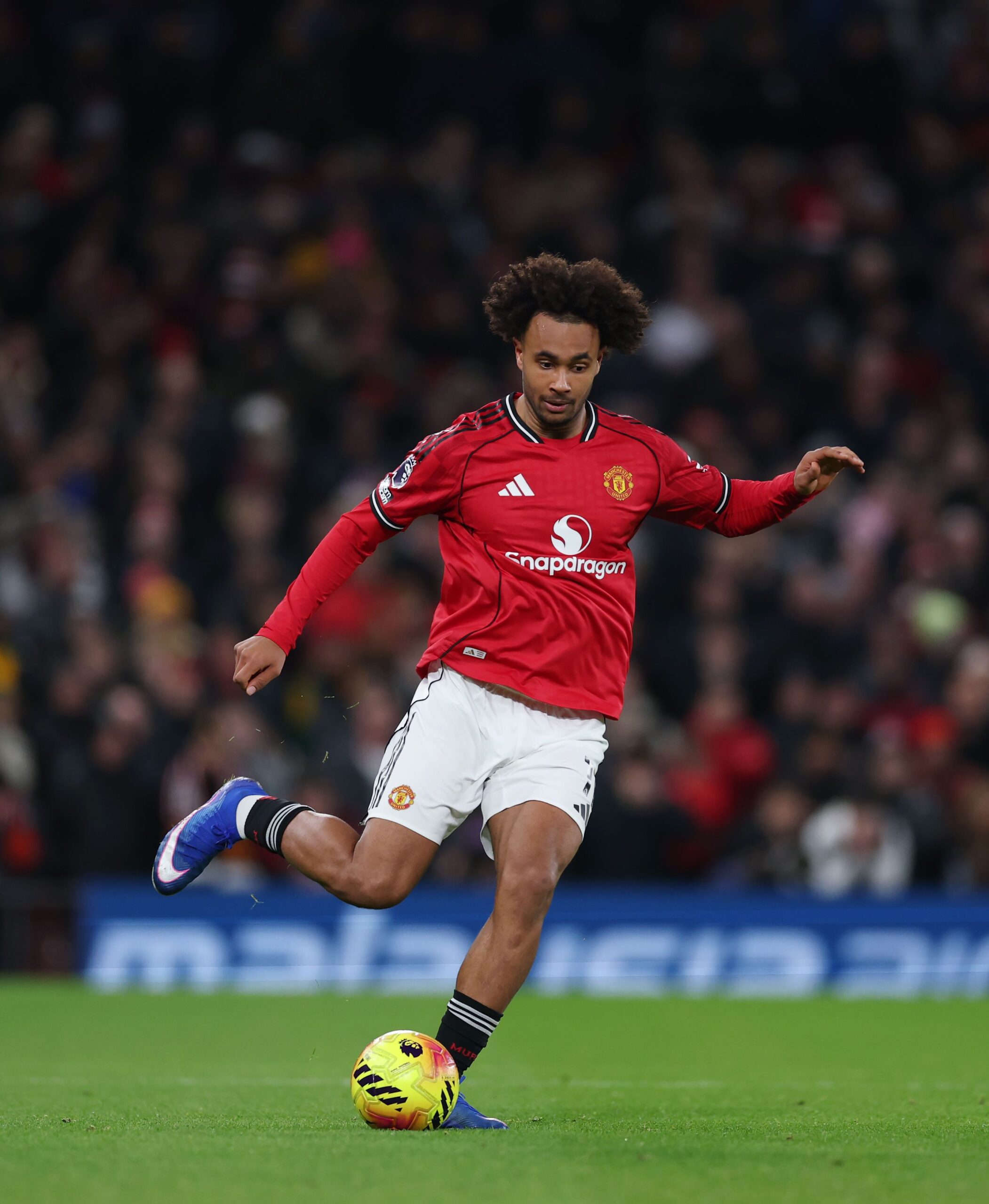 Roma se pronuncia sobre la búsqueda de Zirkzee tras despido de Amorim en Man Utd